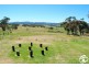 2683 Cargo Road, Cargo NSW 2800