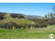 2683 Cargo Road, Cargo NSW 2800