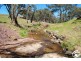 2683 Cargo Road, Cargo NSW 2800