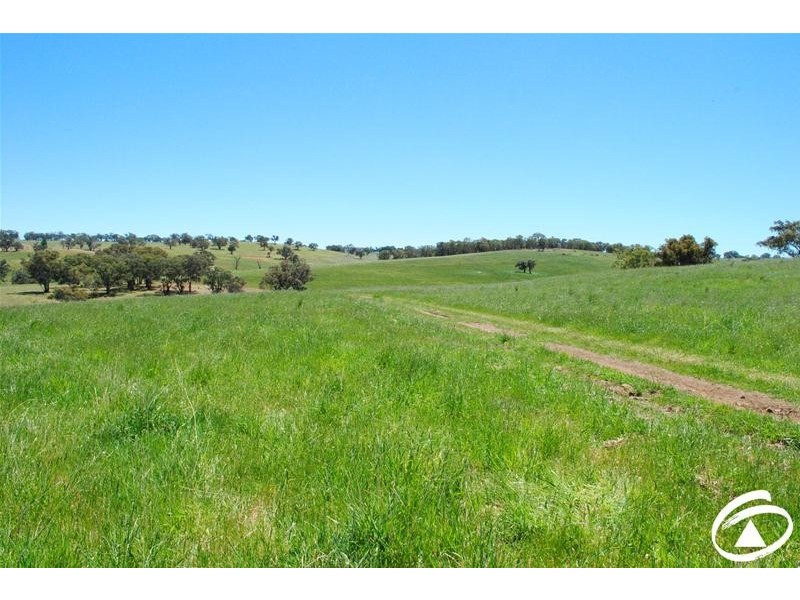 2683 Cargo Road, Cargo NSW 2800