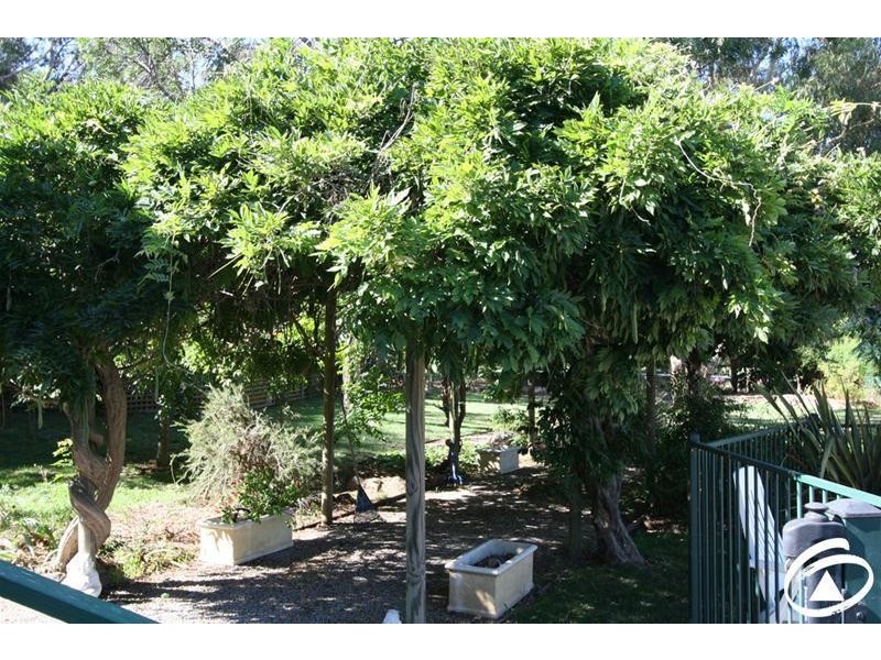 17 Thoopara Crescent, Orange NSW 2800