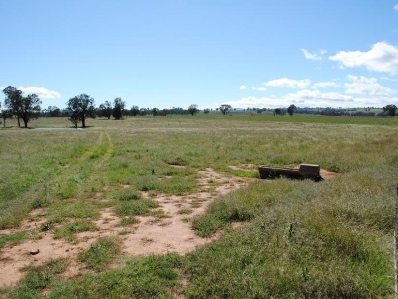 206 Avenel Road, Cargo NSW 2800