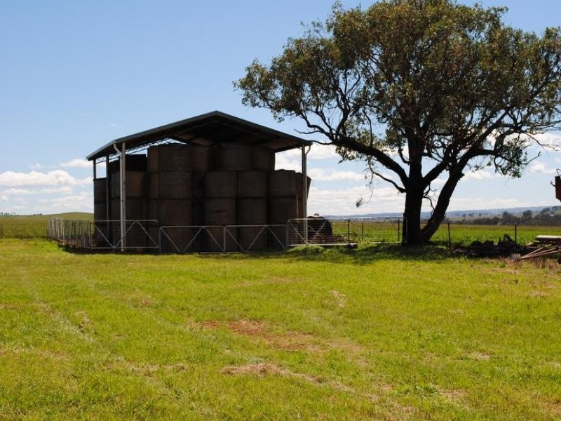 206 Avenel Road, Cargo NSW 2800