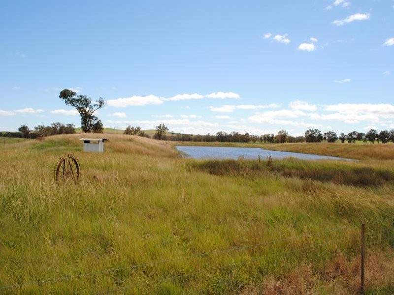 206 Avenel Road, Cargo NSW 2800