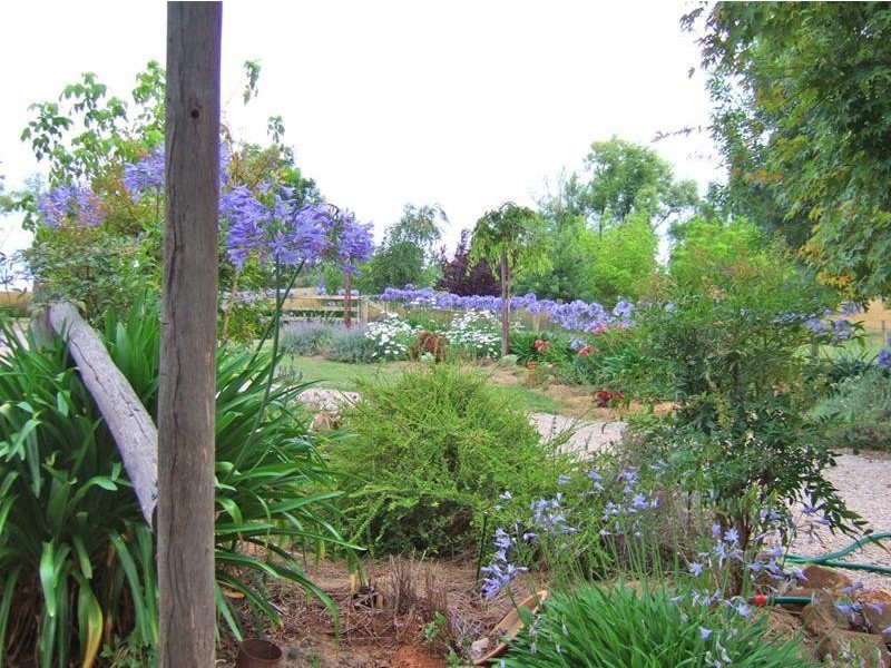 114 Heifer Station Lane, Orange NSW 2800