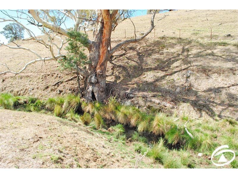 392 Kent Road, Mullion Creek NSW 2800