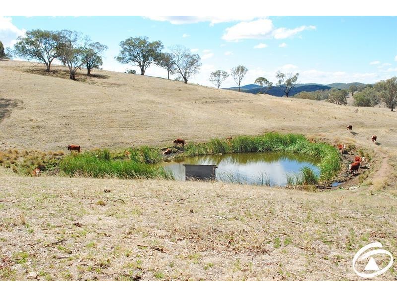 392 Kent Road, Mullion Creek NSW 2800