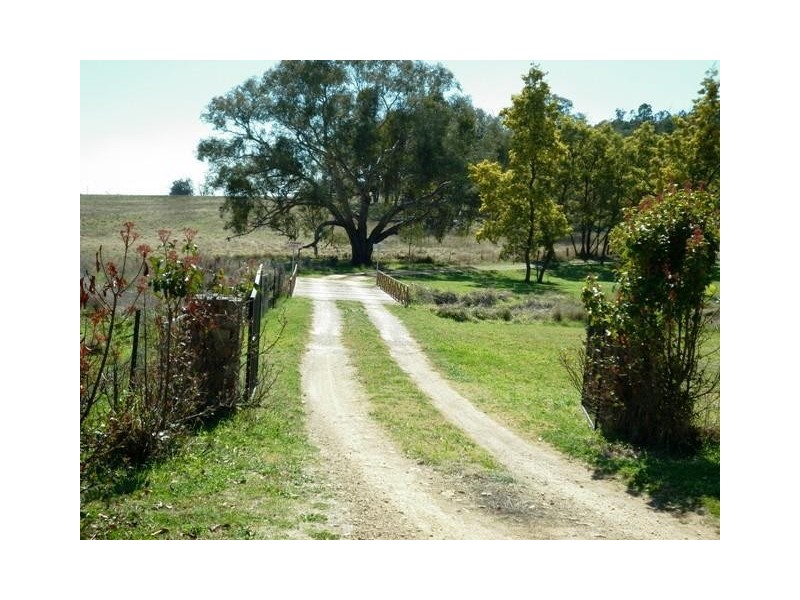 940 Packham Drive, Molong NSW 2866