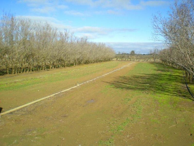 53 Shepherd Road, Orange NSW 2800