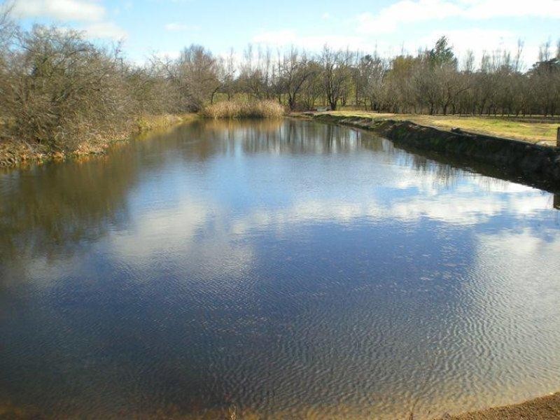 53 Shepherd Road, Orange NSW 2800