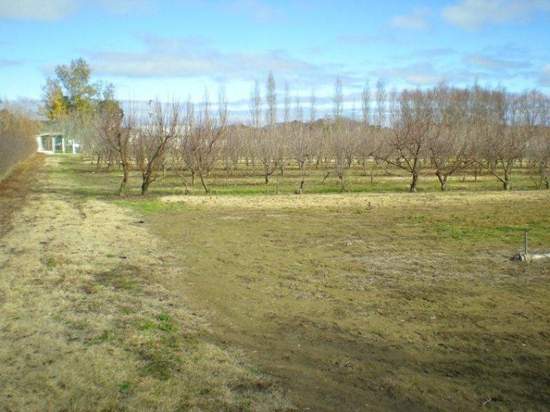 53 Shepherd Road, Orange NSW 2800