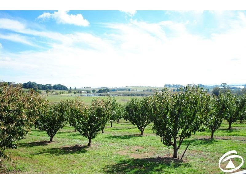 1032 Pinnacle Road, Orange NSW 2800