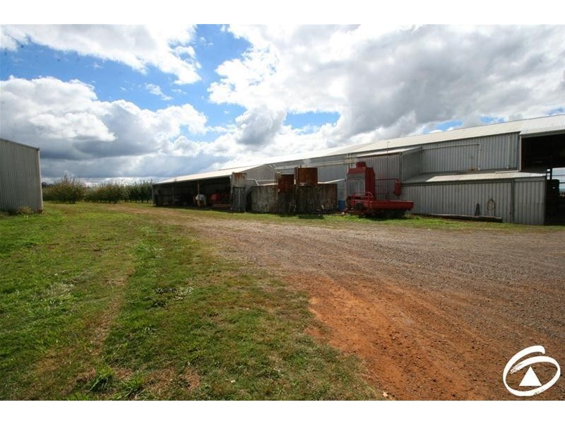 1032 Pinnacle Road, Orange NSW 2800