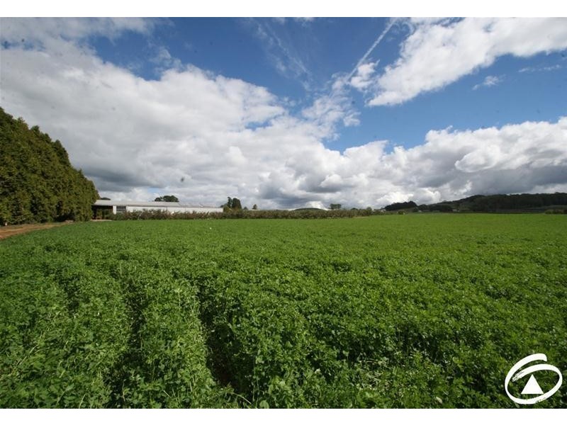 1032 Pinnacle Road, Orange NSW 2800