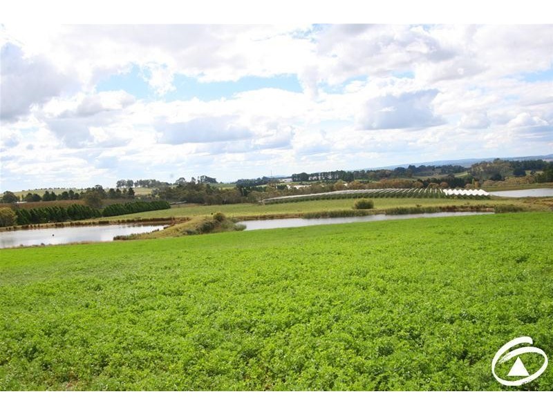 1032 Pinnacle Road, Orange NSW 2800