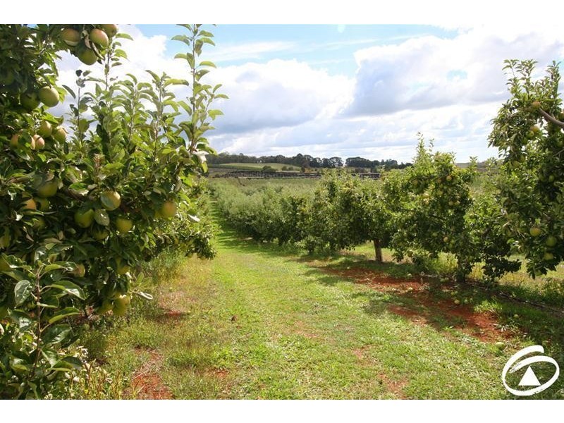 1032 Pinnacle Road, Orange NSW 2800