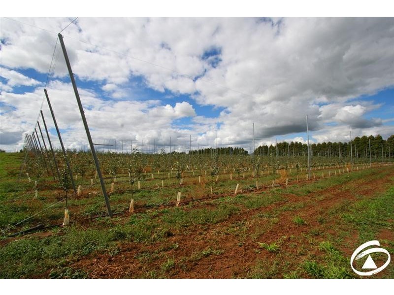 1032 Pinnacle Road, Orange NSW 2800