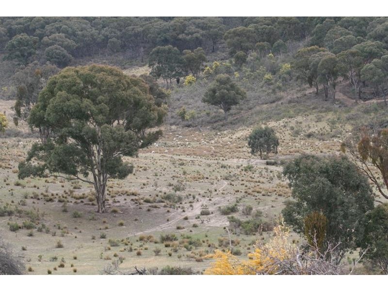 Mullion Creek NSW 2800