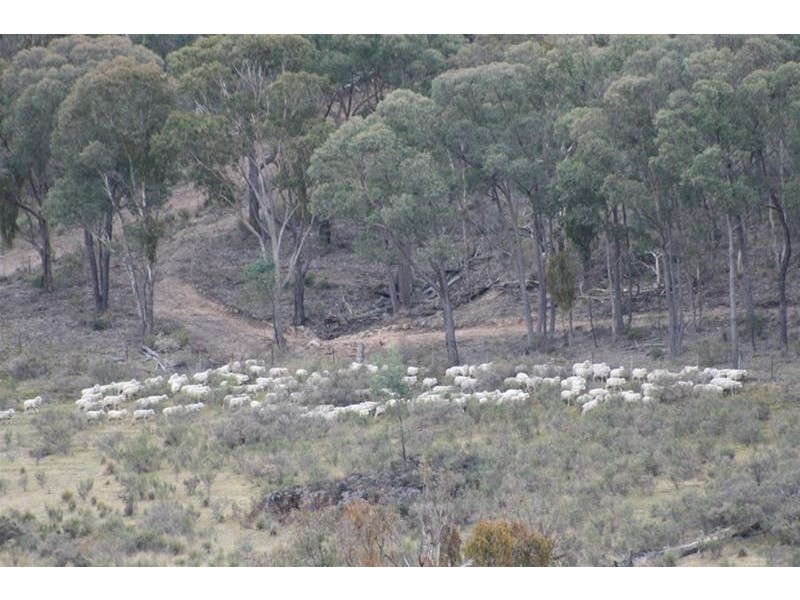 Mullion Creek NSW 2800