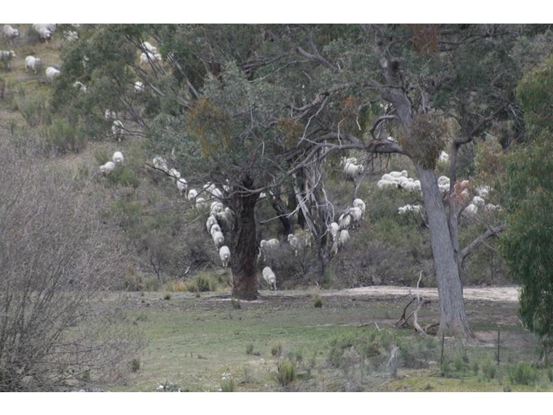 Mullion Creek NSW 2800