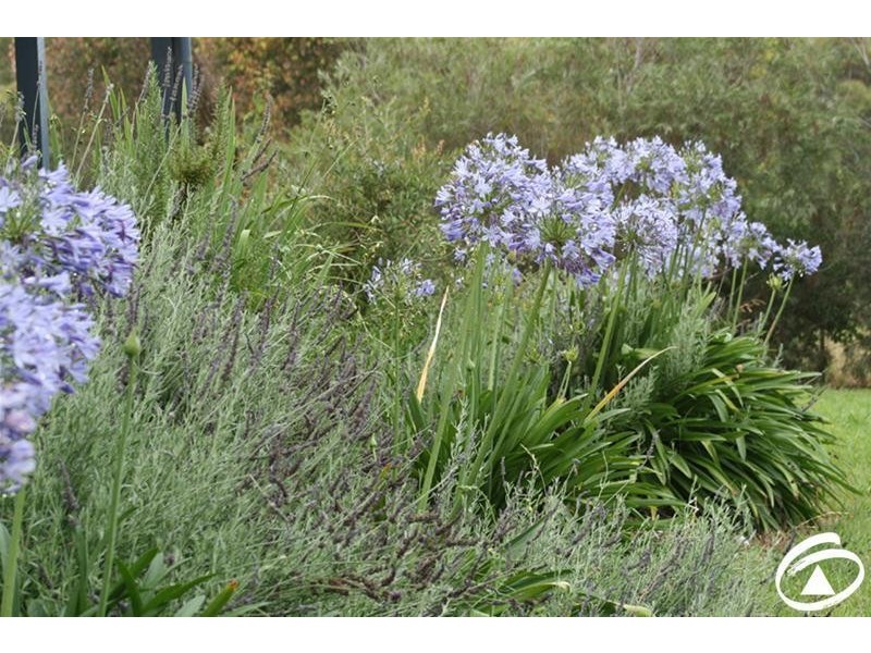 Mullion Creek NSW 2800