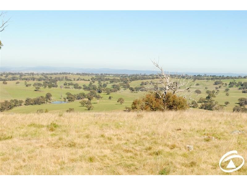 ‘Old Grenabri’, Edinboro Lane, Cargo NSW 2800