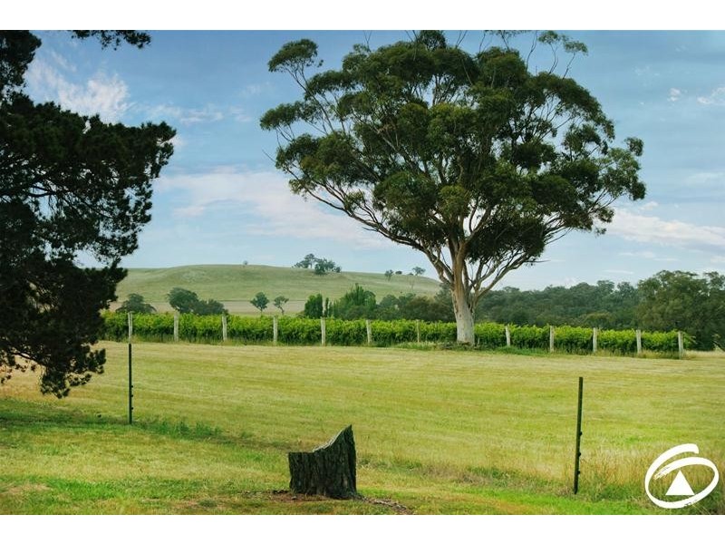 154 Peabody Road, Molong NSW 2866