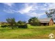 154 Peabody Road, Molong NSW 2866