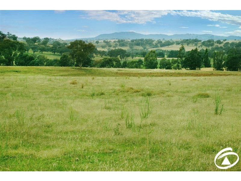 154 Peabody Road, Molong NSW 2866