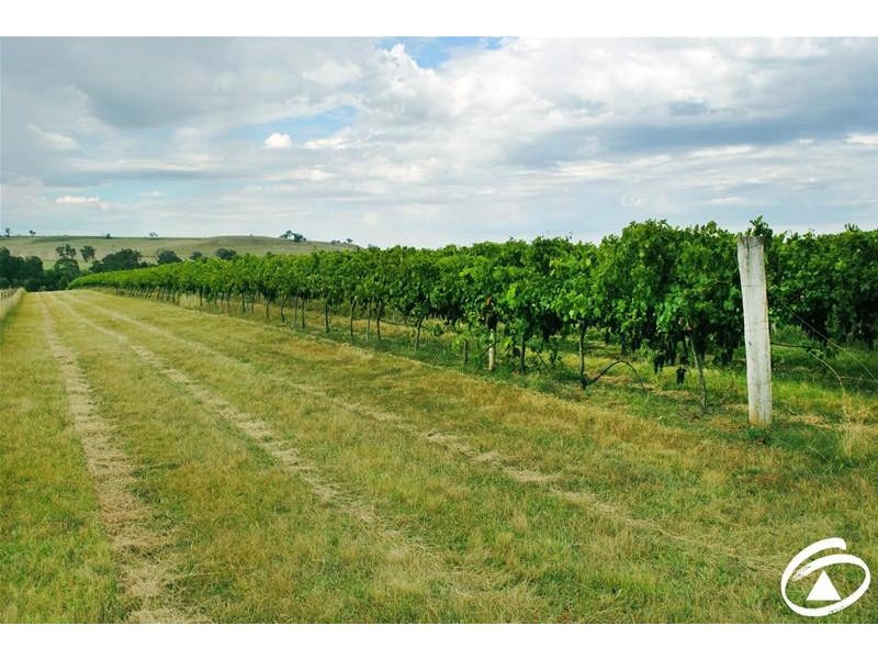 154 Peabody Road, Molong NSW 2866