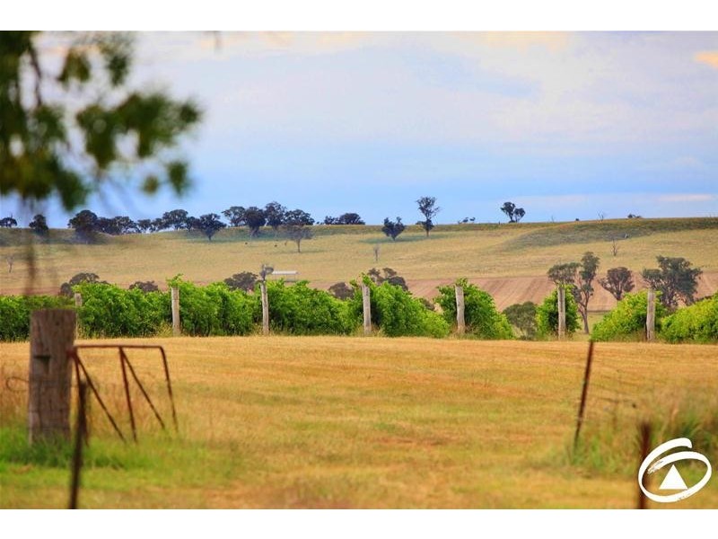 154 Peabody Road, Molong NSW 2866