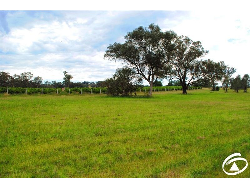 154 Peabody Road, Molong NSW 2866