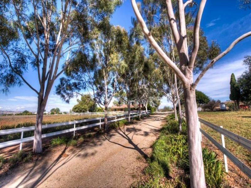 188 Square Road, Canowindra NSW 2804
