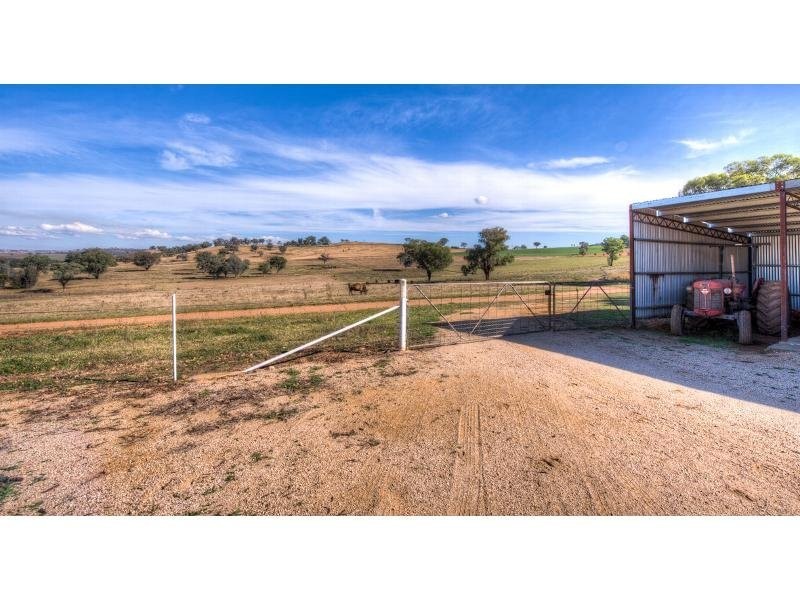 188 Square Road, Canowindra NSW 2804