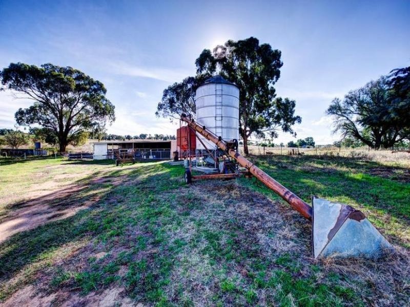 188 Square Road, Canowindra NSW 2804