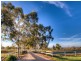 188 Square Road, Canowindra NSW 2804