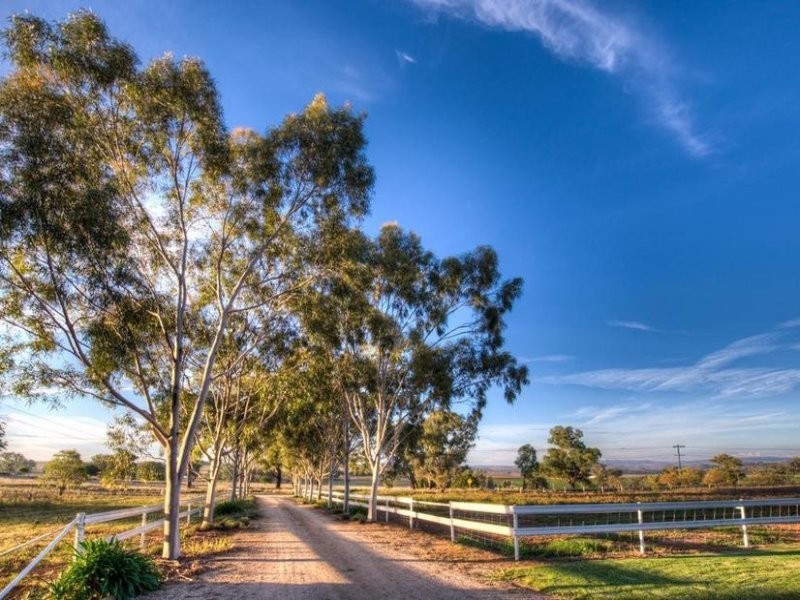 188 Square Road, Canowindra NSW 2804