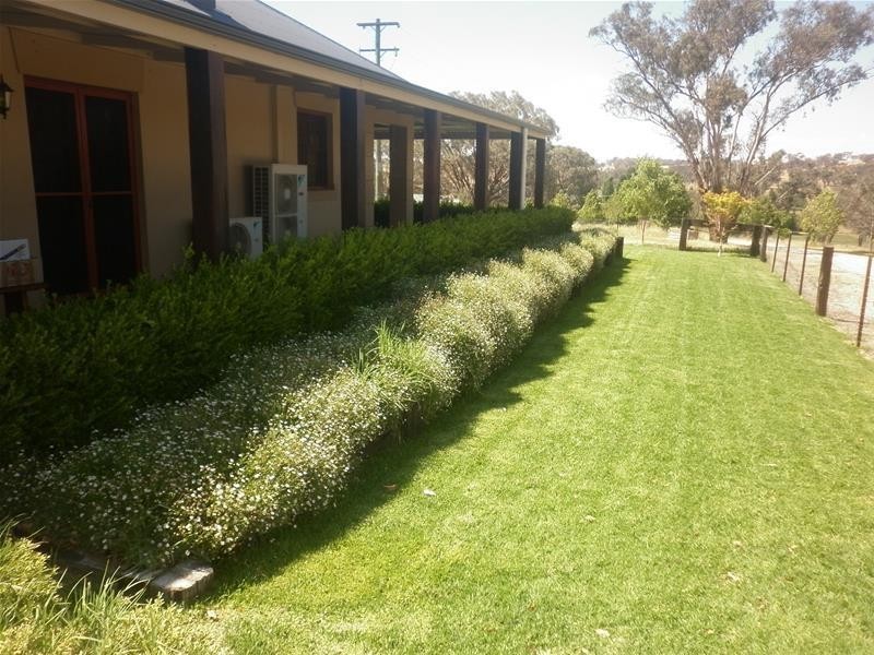 “Sunnyside” Mitchell Highway, Molong NSW 2866