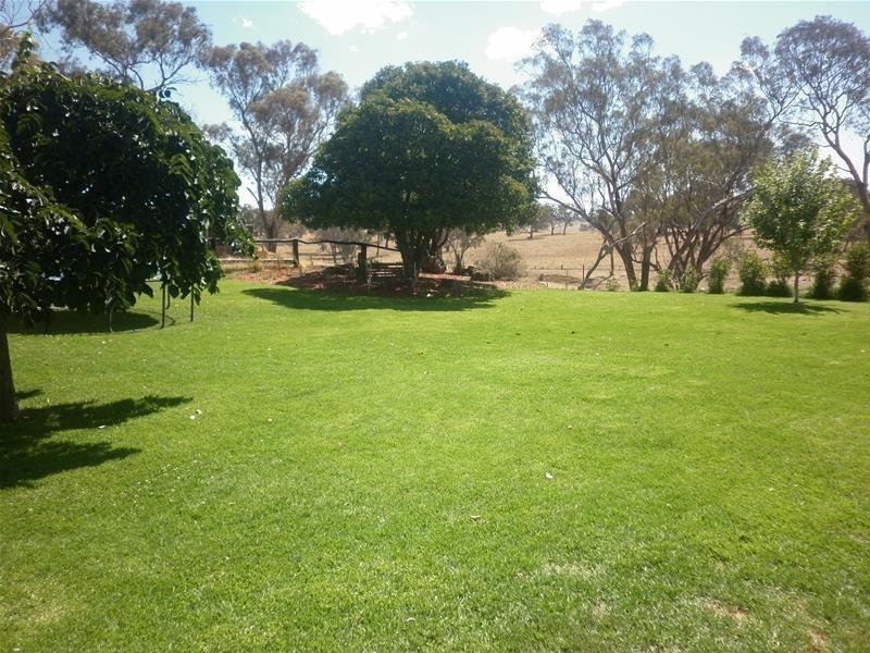 “Sunnyside” Mitchell Highway, Molong NSW 2866