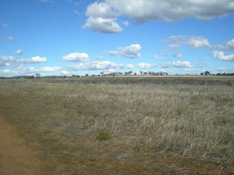 310 Gregra Road, Manildra NSW 2865