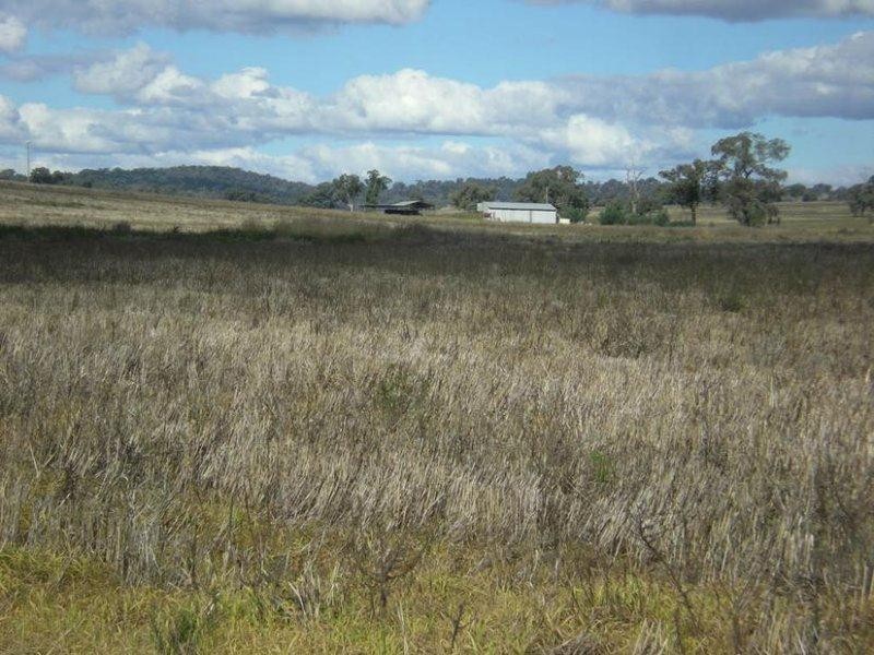 310 Gregra Road, Manildra NSW 2865