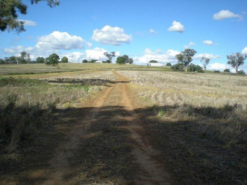 310 Gregra Road, Manildra NSW 2865