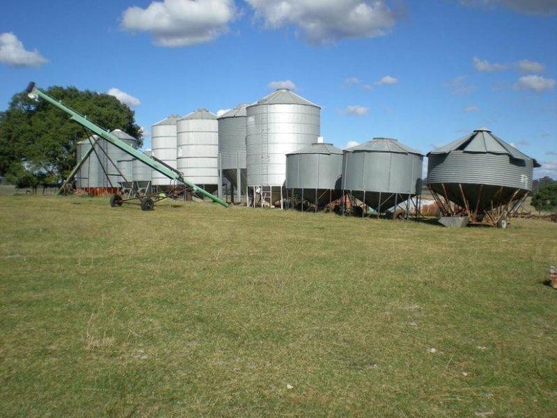 310 Gregra Road, Manildra NSW 2865