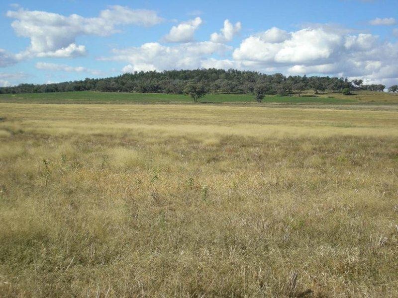 310 Gregra Road, Manildra NSW 2865