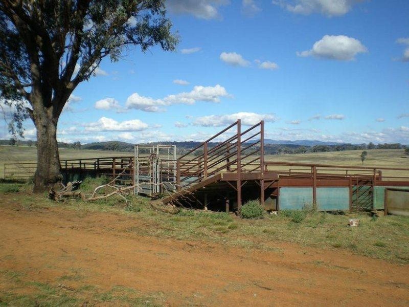 310 Gregra Road, Manildra NSW 2865