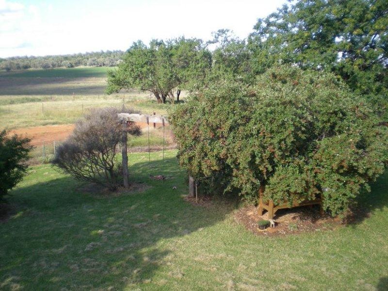 310 Gregra Road, Manildra NSW 2865