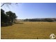 Lot/54 Davys Plains Road, Cargo NSW 2800