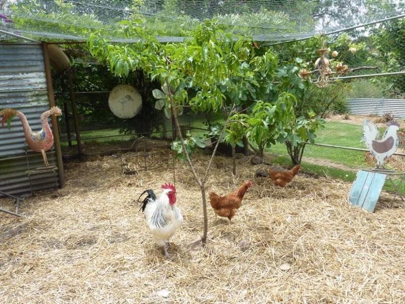 678 Burrendong Way, Orange NSW 2800