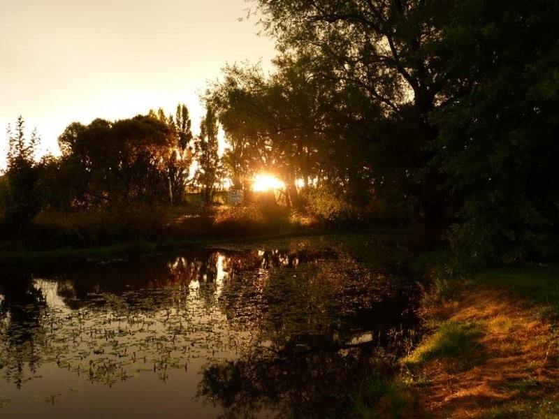 678 Burrendong Way, Orange NSW 2800