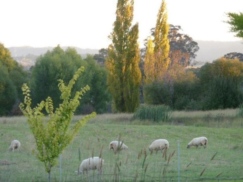 678 Burrendong Way, Orange NSW 2800